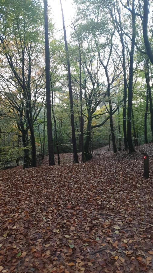 Abija Villa Putten Dış mekan fotoğraf