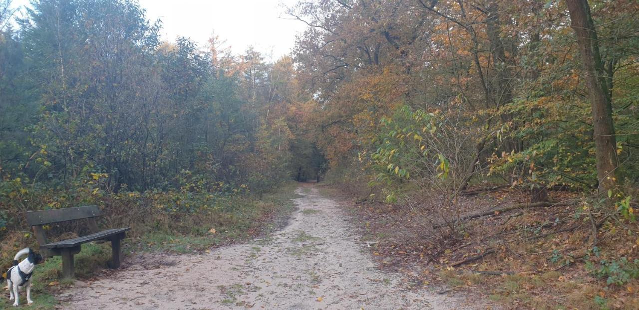 Abija Villa Putten Dış mekan fotoğraf